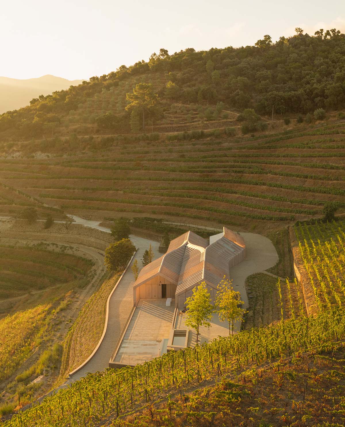 Atelier Sergio Rebelo adds organic elegance to a winery by mimicking the zigzags of the vineyards 