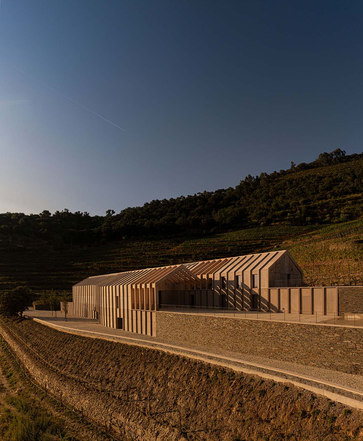 Atelier Sergio Rebelo adds organic elegance to a winery by mimicking the zigzags of the vineyards 