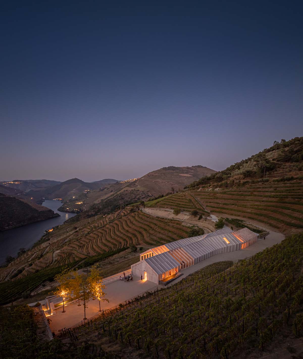 Atelier Sergio Rebelo adds organic elegance to a winery by mimicking the zigzags of the vineyards 