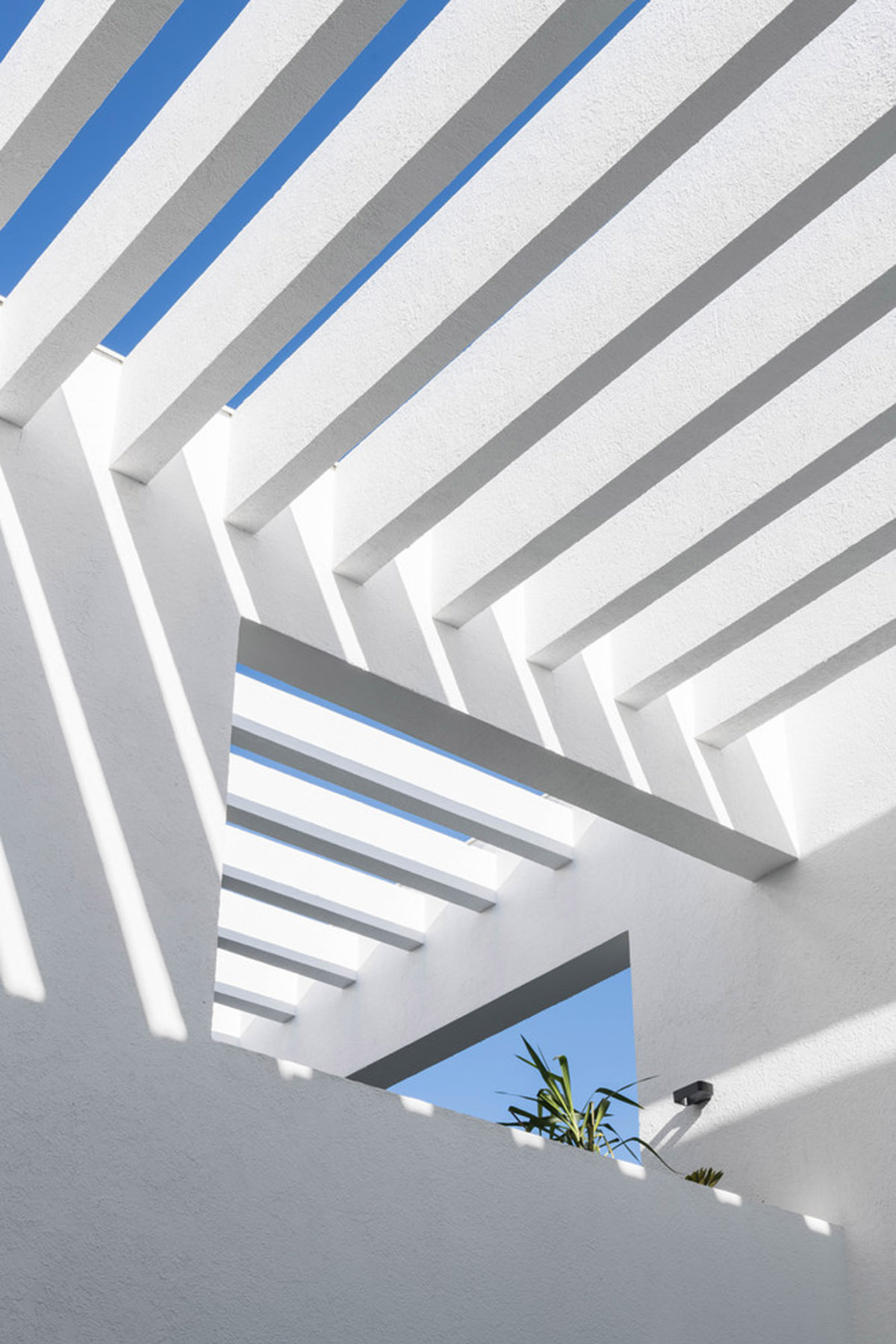 Cadaval & Solà-Morales' white excavated house features porous interior that expands activities