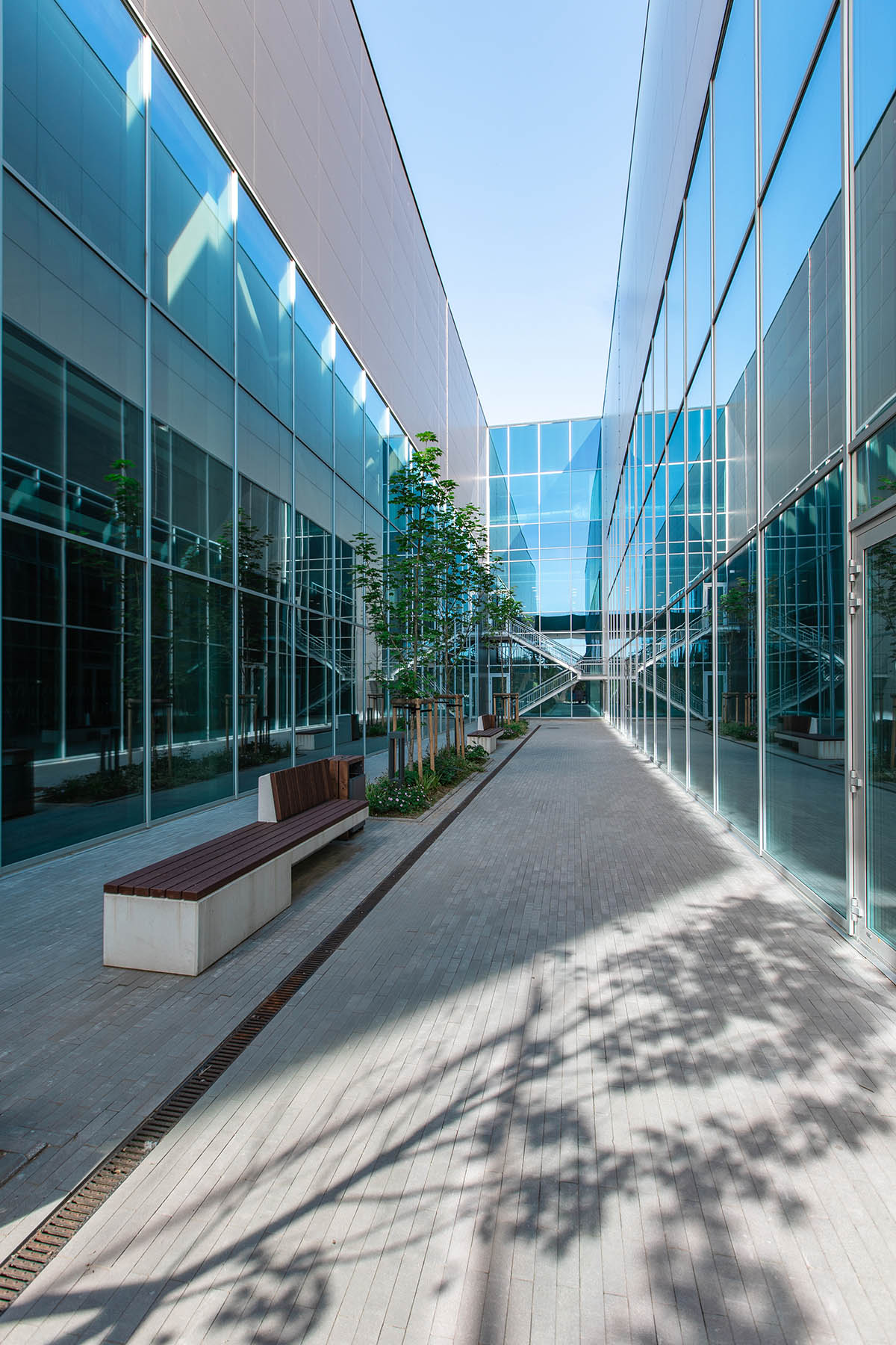 The Rezekne Olympic Centre designed by REM PRO gains international renown