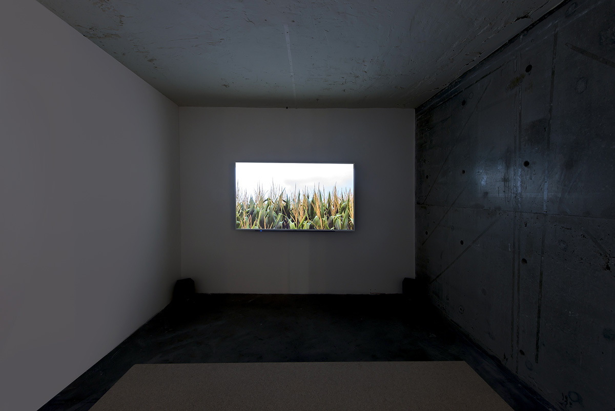 First images and details released for Istanbul Design Biennial 2018