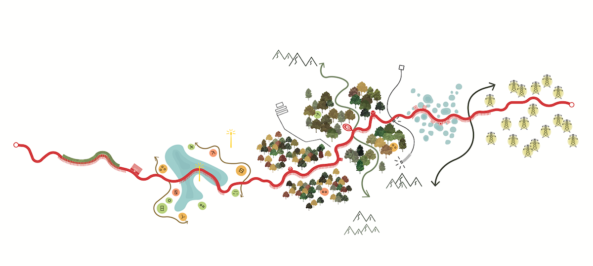 LOLA, TALLER and L+CC win competition for a new forest and sports park in Shenzhen