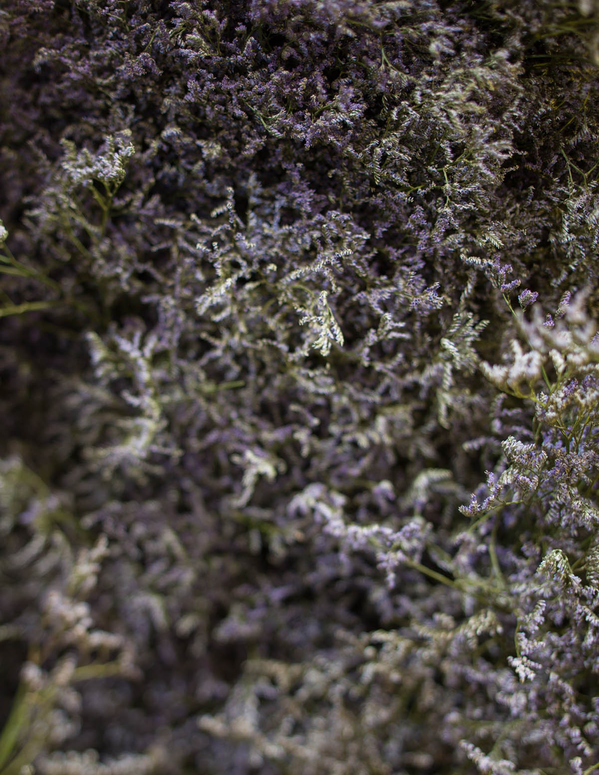 Space Caviar creates artificial and technologically augmented garden for Uzbekistan Pavilion