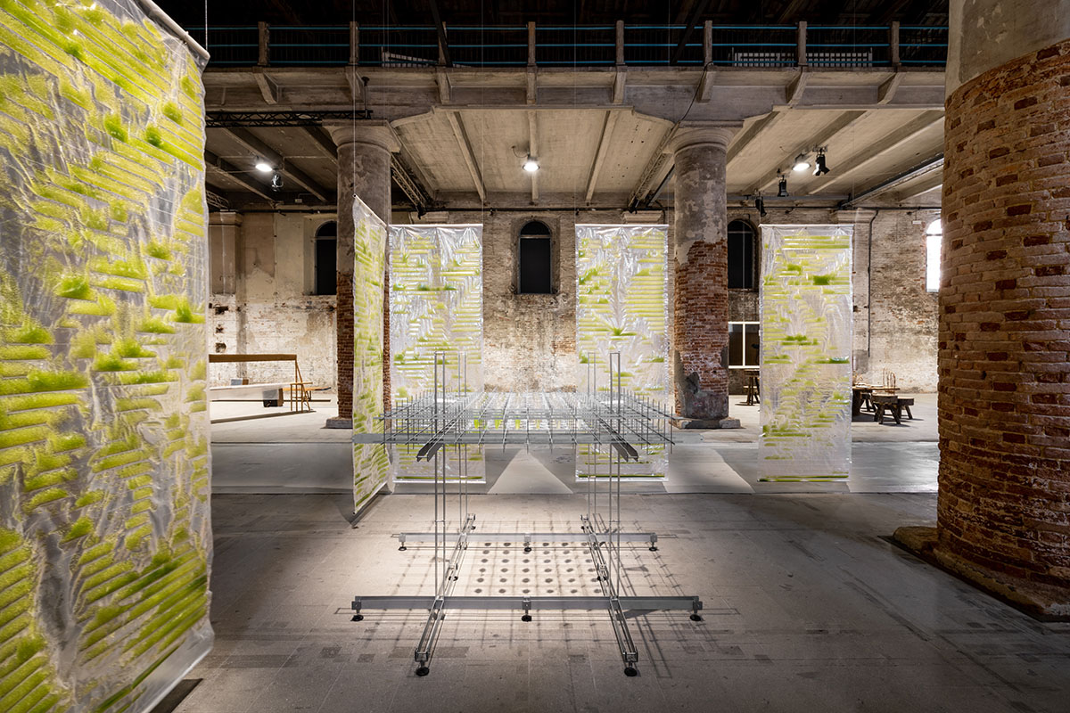 ecoLogicStudio installs prototype dwelling addressing biotech architecture at Venice Biennale