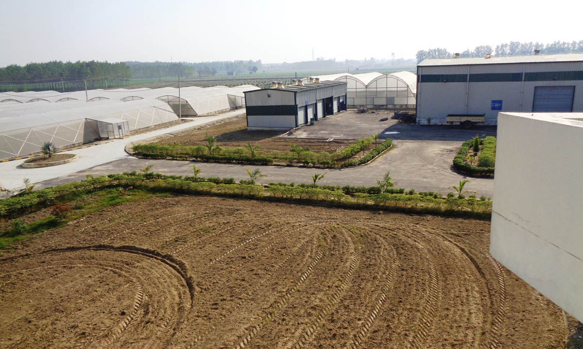 Indo-Israel Centre Of Excellence For Fruits At Hoshiarpur Ready To Serve Farmers