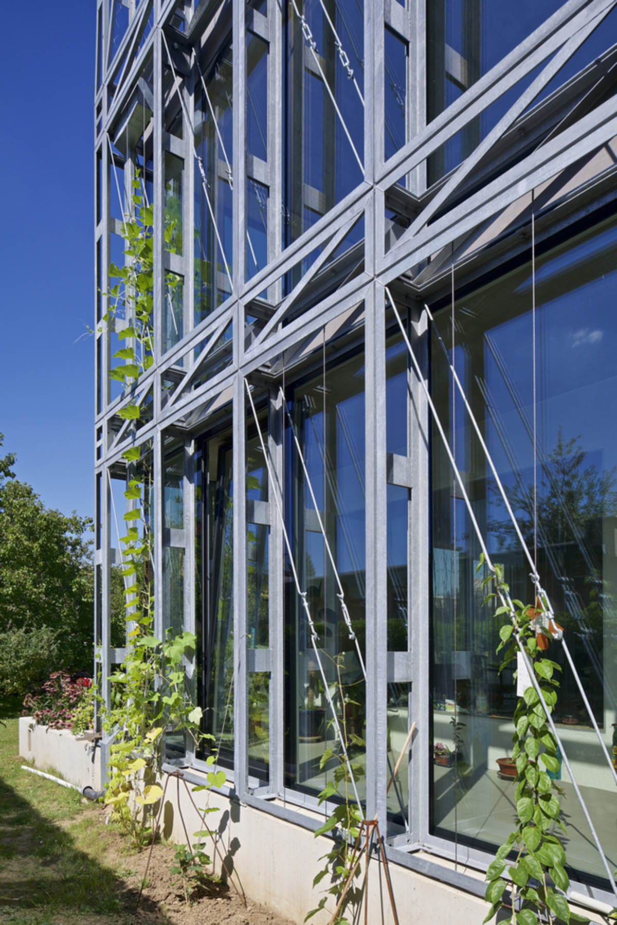 ŠÉPKA Architects wraps old residence with steel lattice featuring climbing plants as facade element