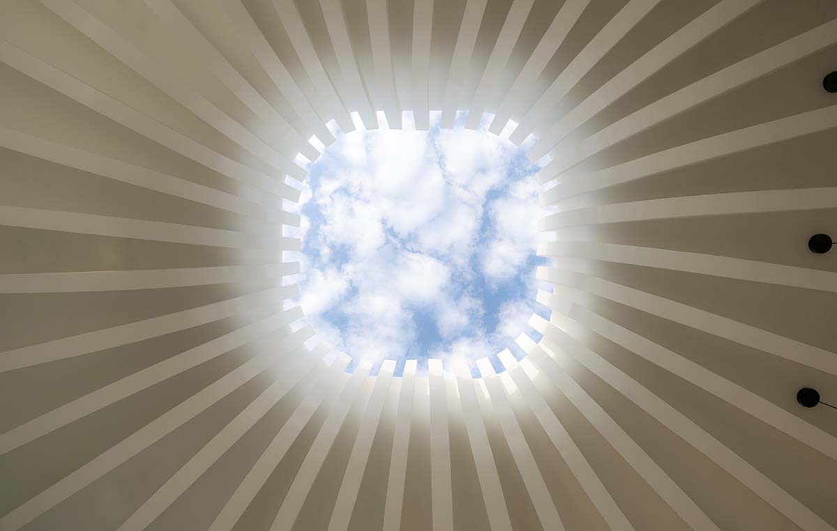 A flower-inspired cafe blooms in a fluid design within Bangkok's industrial landscape