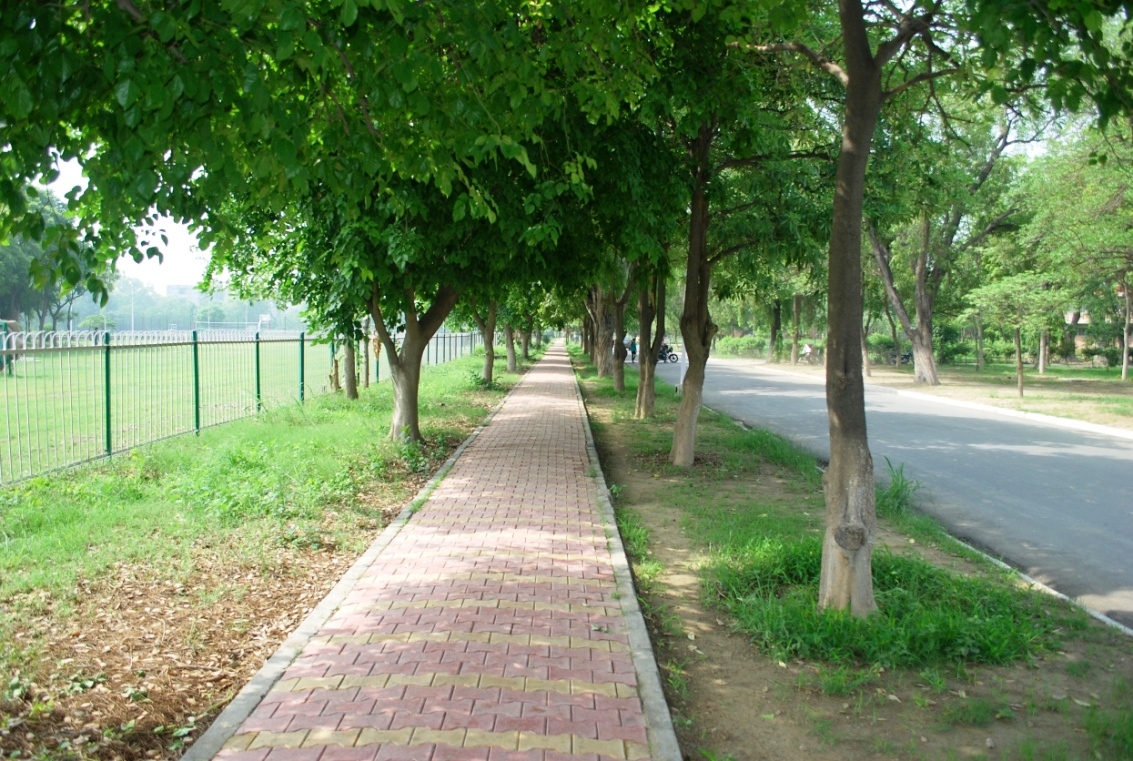 Jasbir Sachdev-Designed Guru Nanak Dev University, Amritsar Will Be Celebrating Golden Jubilee Soon