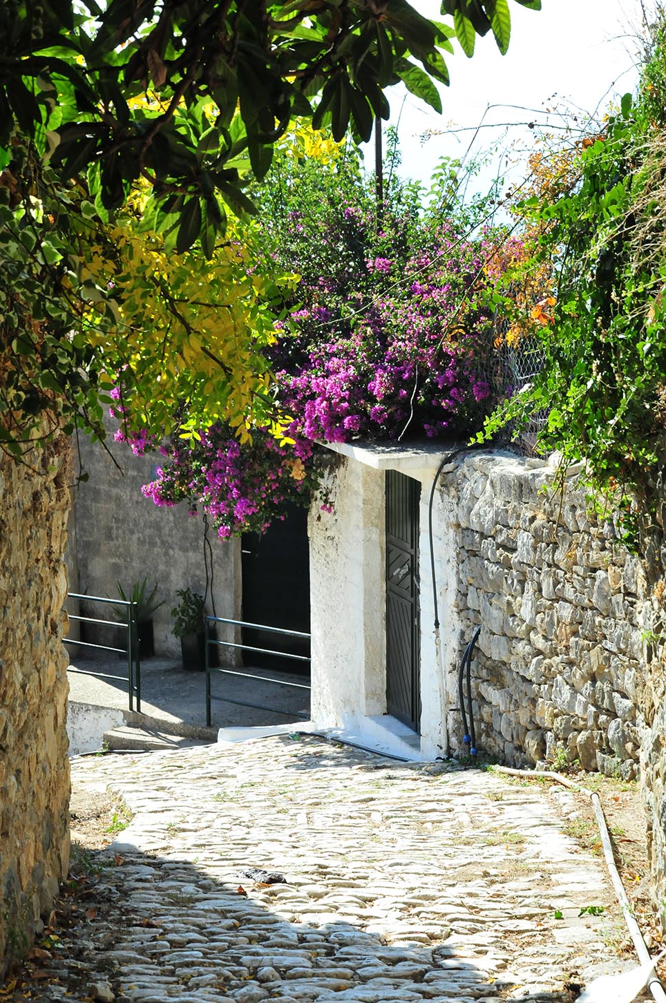 Albania declares 100 Villages for The Integrated Rural Development Program