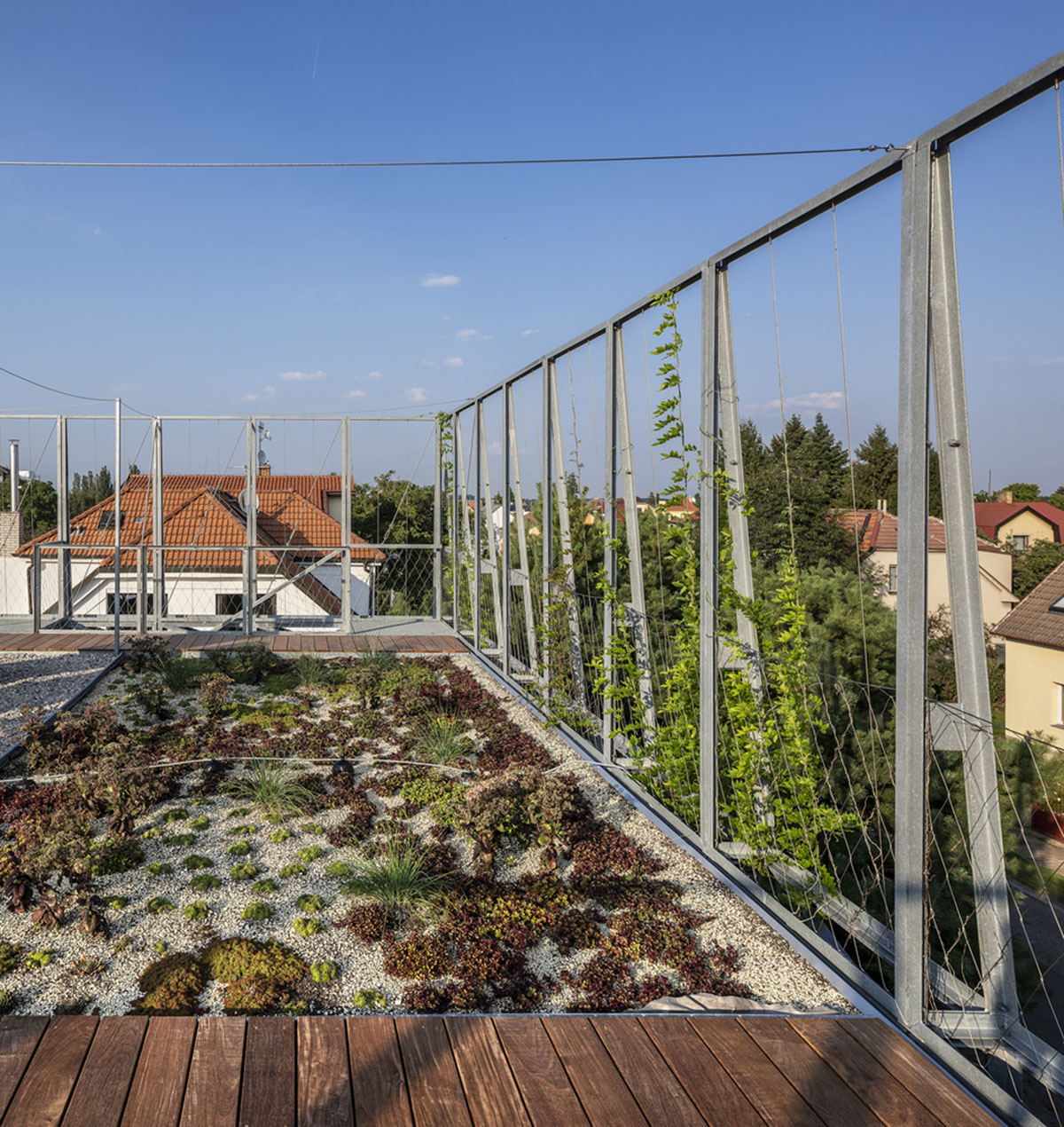 ŠÉPKA Architects wraps old residence with steel lattice featuring climbing plants as facade element