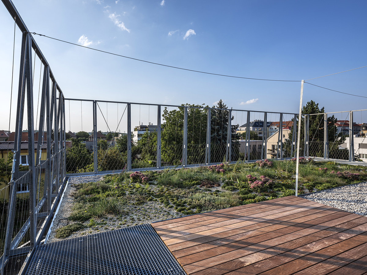 ŠÉPKA Architects wraps old residence with steel lattice featuring climbing plants as facade element