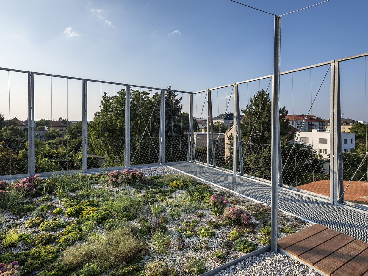 ŠÉPKA Architects wraps old residence with steel lattice featuring climbing plants as facade element