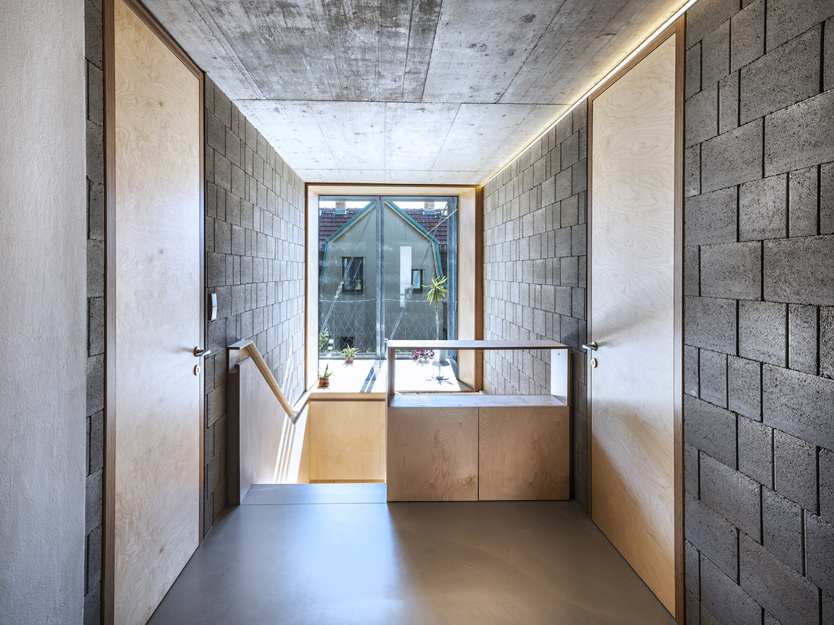 ŠÉPKA Architects wraps old residence with steel lattice featuring climbing plants as facade element