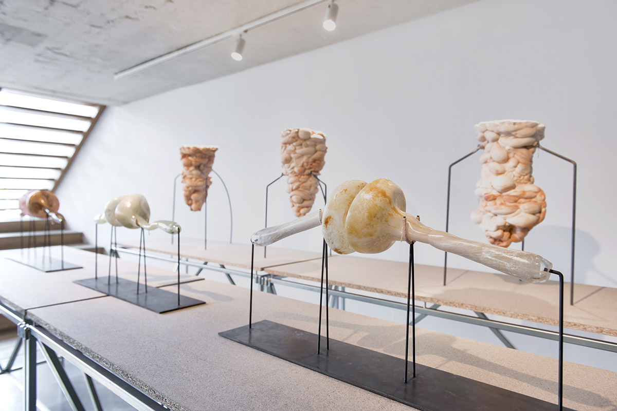 First images and details released for Istanbul Design Biennial 2018