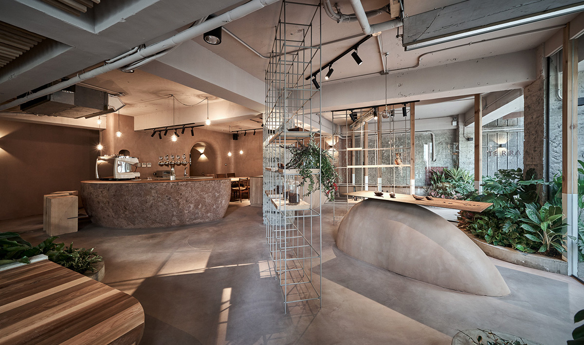 Soar Design Studio adds greenery and smooth surfaces to chocolate store offering garden-like space