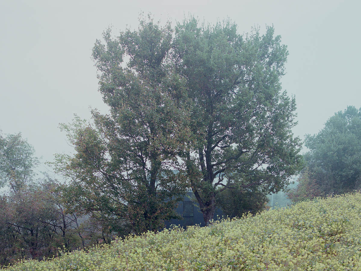 LADO architetti transforms 1970s house into a clean, monochromatic volume in Italy