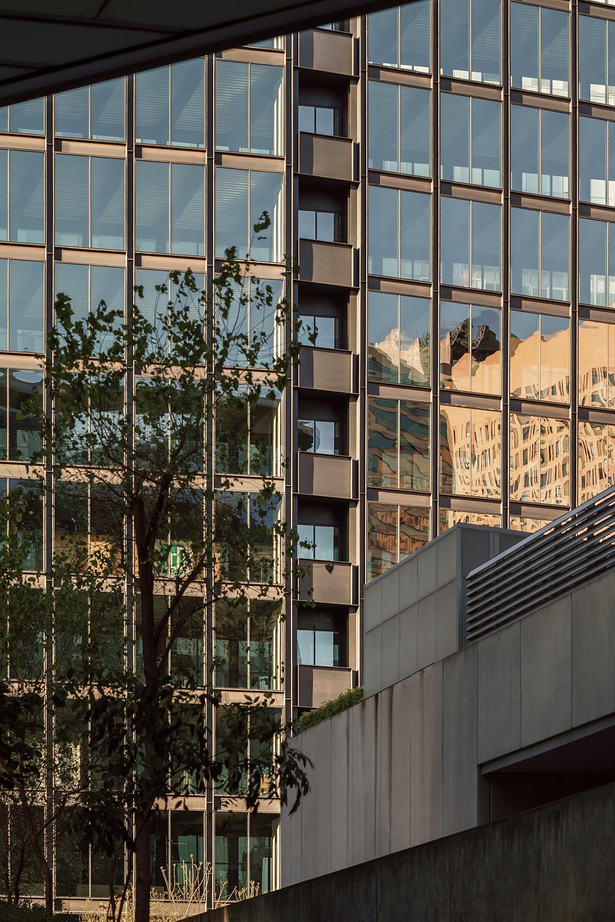 HEMAA built a slender skyscraper that stands elegantly on a narrow plot in Mexico City 