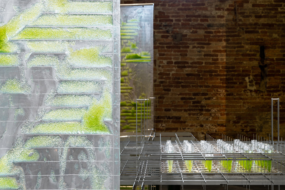 ecoLogicStudio installs prototype dwelling addressing biotech architecture at Venice Biennale