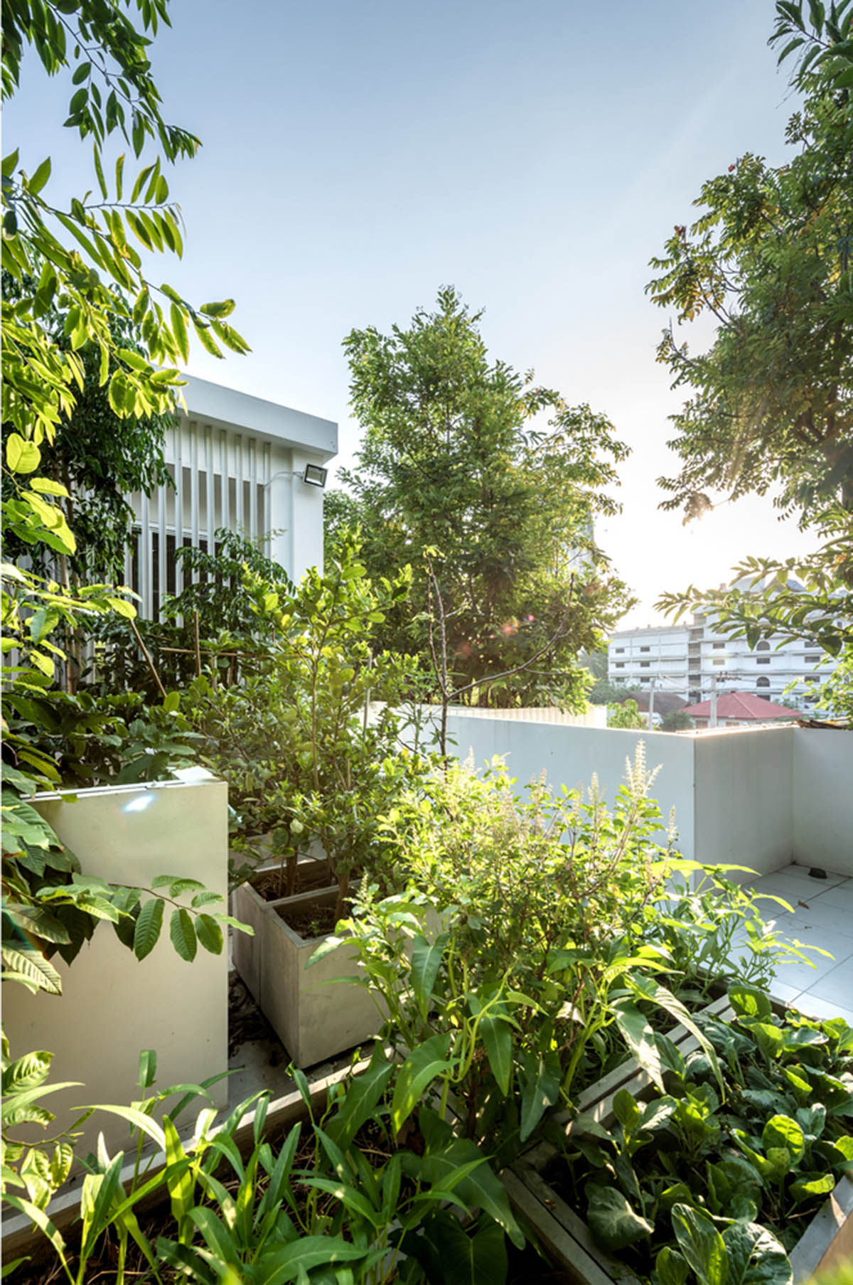 Shma Company Limited built residence that features bulging mini forest from its facade in Thailand