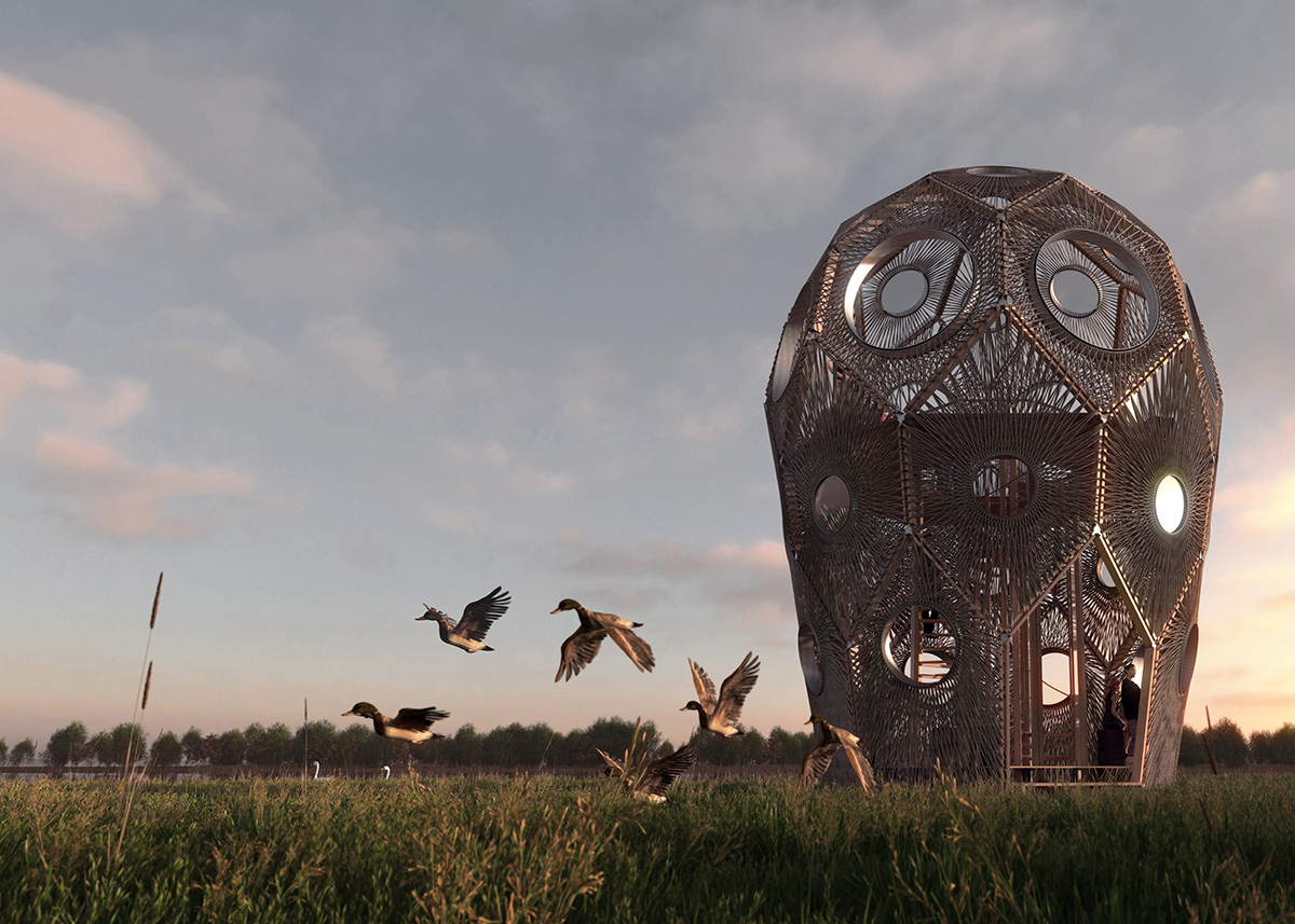 Pape Bird Observation Tower winners announced for Latvia's Pape Nature Park