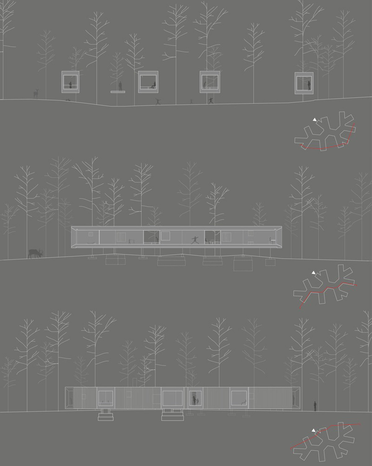Florian Busch Architects creates branch-like retreat to escape to forest’s solitude in Japan