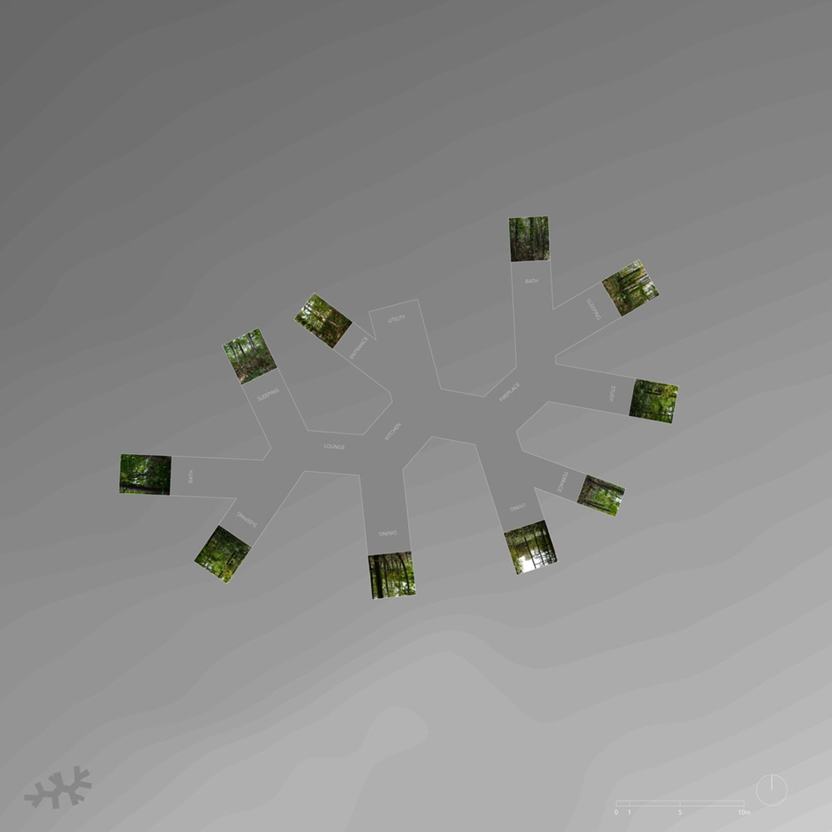 Florian Busch Architects creates branch-like retreat to escape to forest’s solitude in Japan