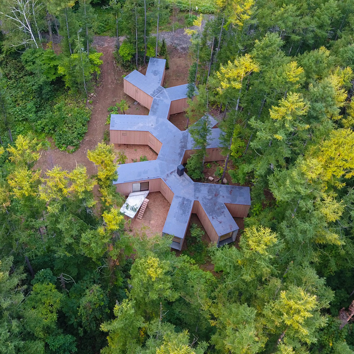 Florian Busch Architects creates branch-like retreat to escape to forest’s solitude in Japan