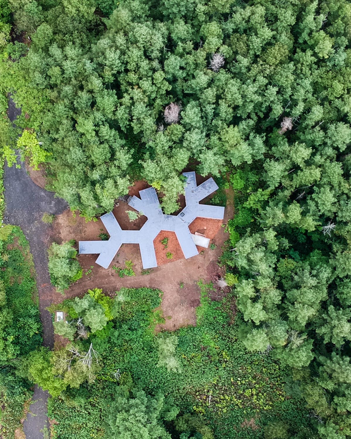 Florian Busch Architects creates branch-like retreat to escape to forest’s solitude in Japan
