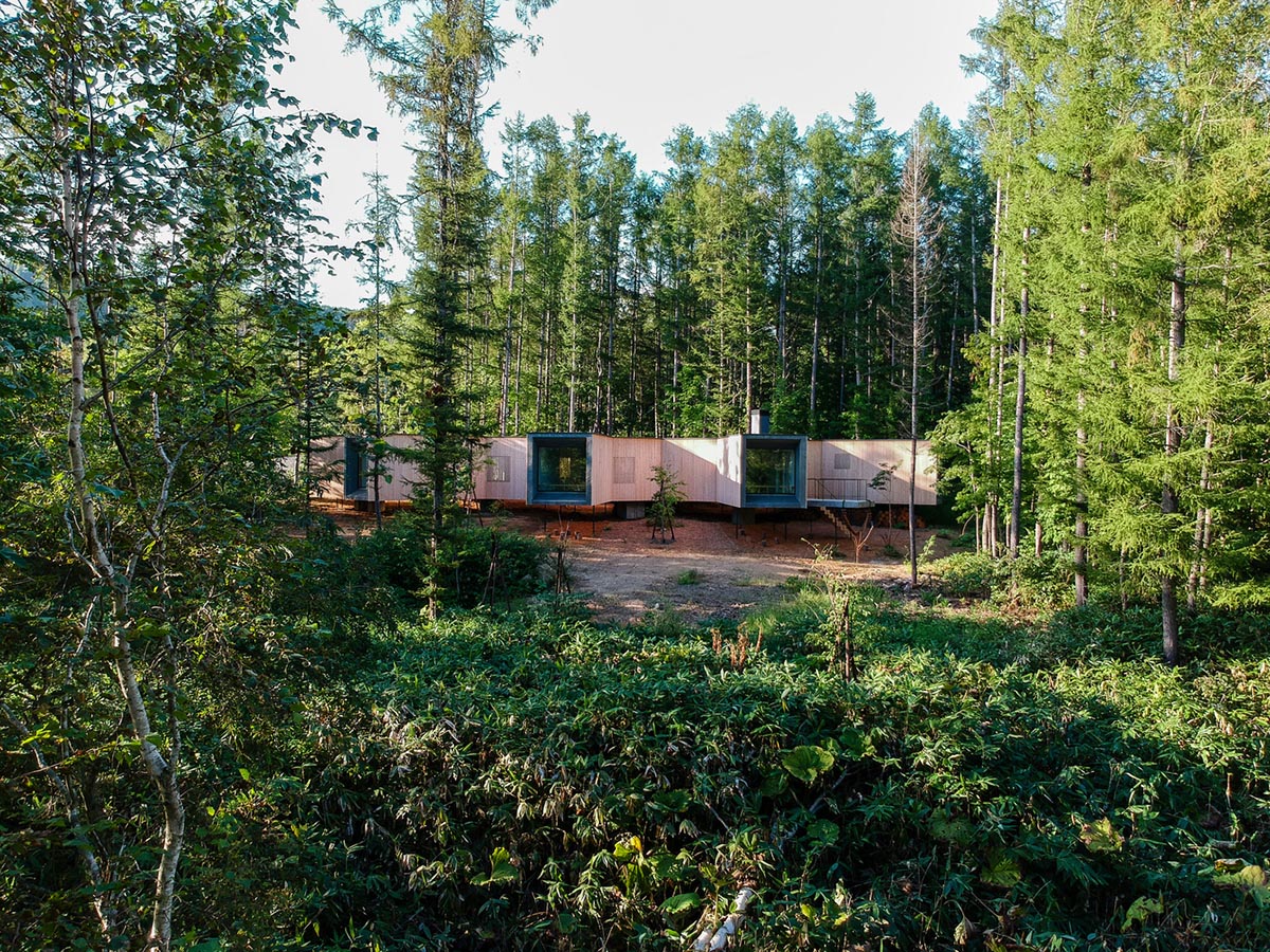 Florian Busch Architects creates branch-like retreat to escape to forest’s solitude in Japan