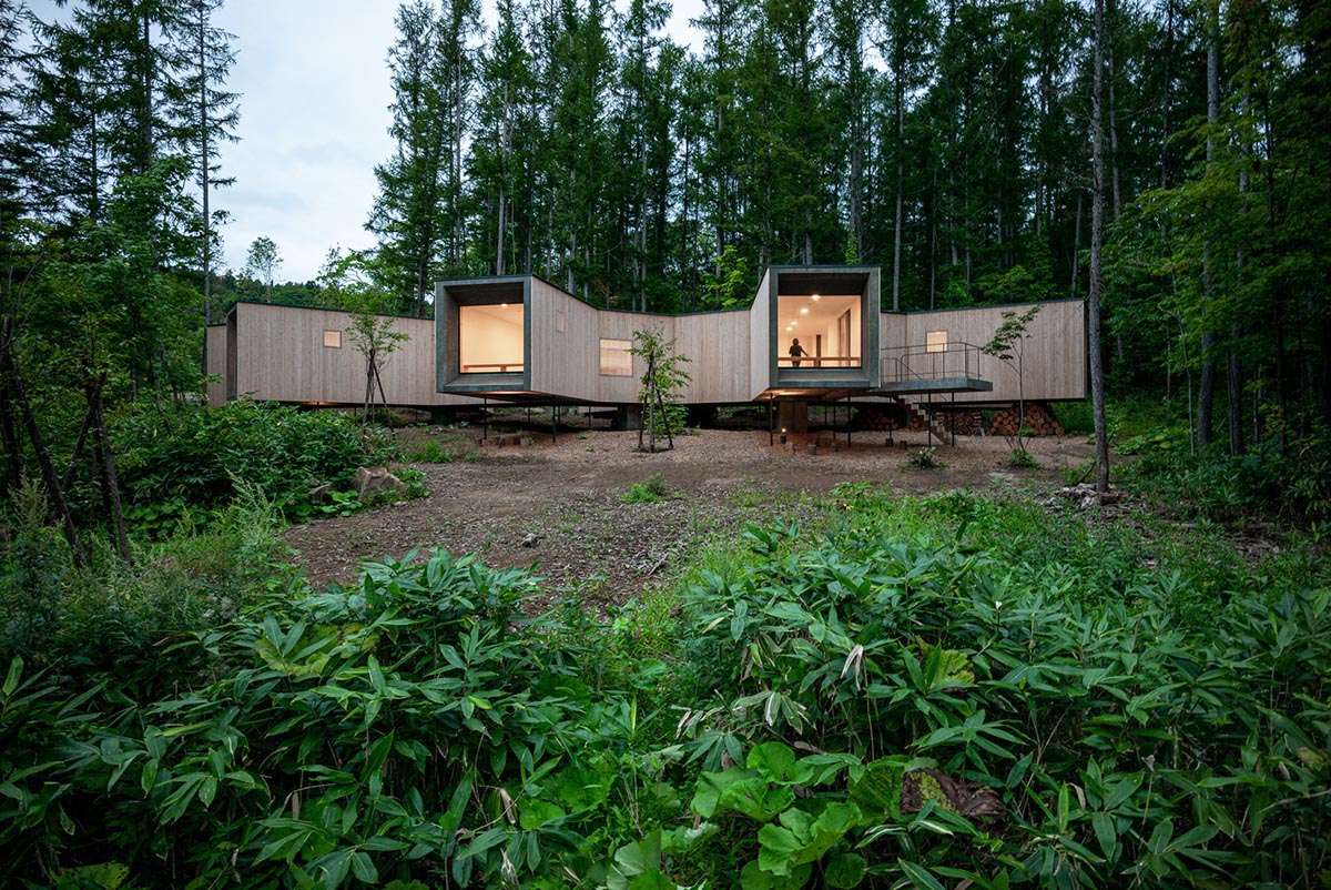 Florian Busch Architects creates branch-like retreat to escape to forest’s solitude in Japan