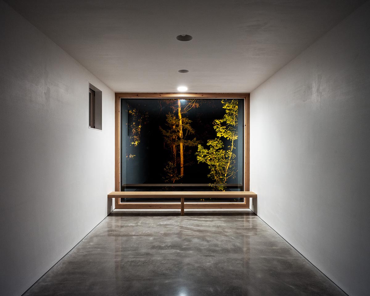 Florian Busch Architects creates branch-like retreat to escape to forest’s solitude in Japan