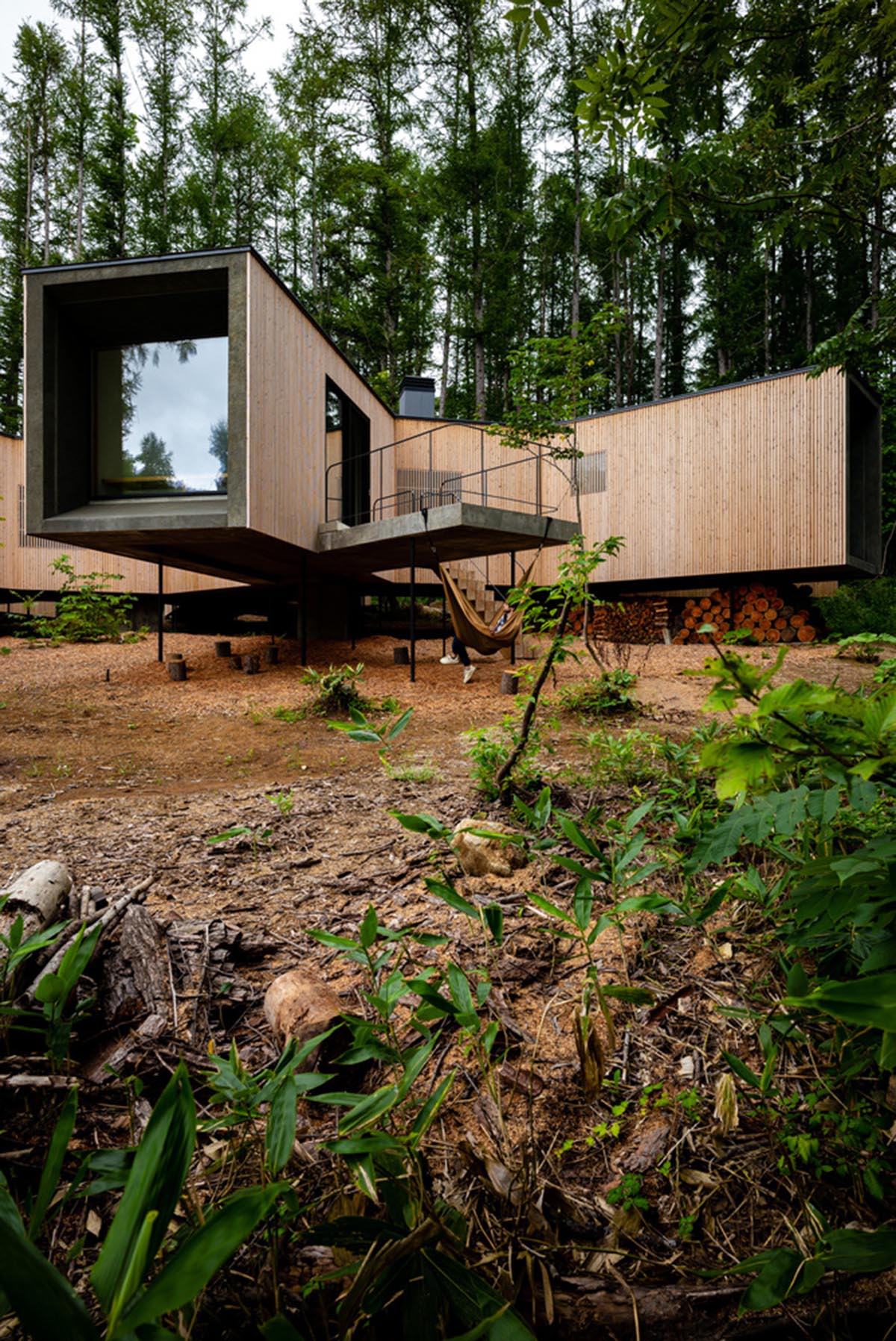 Florian Busch Architects creates branch-like retreat to escape to forest’s solitude in Japan