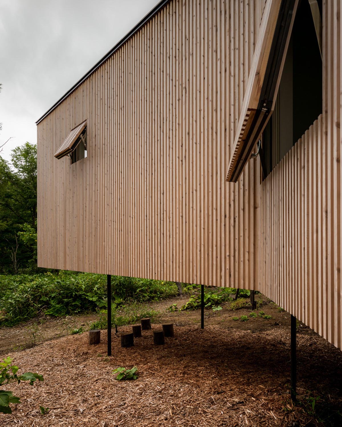 Florian Busch Architects creates branch-like retreat to escape to forest’s solitude in Japan