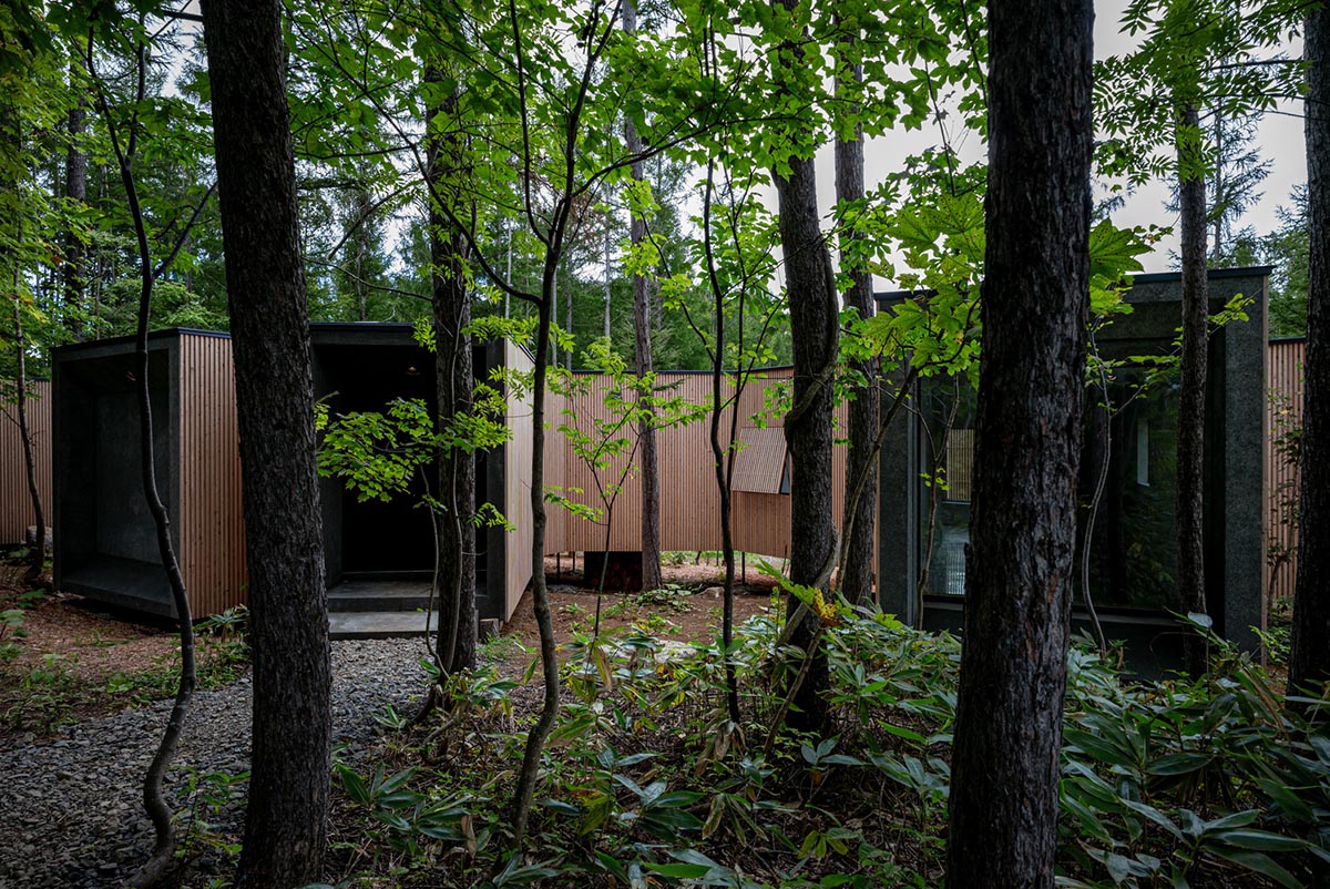 Florian Busch Architects creates branch-like retreat to escape to ...