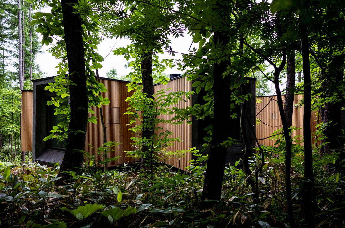Florian Busch Architects creates branch-like retreat to escape to forest’s solitude in Japan
