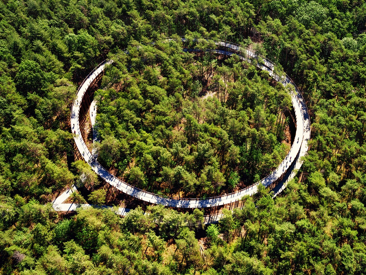 Burolandschap built circular cycle path among trees in Belgium