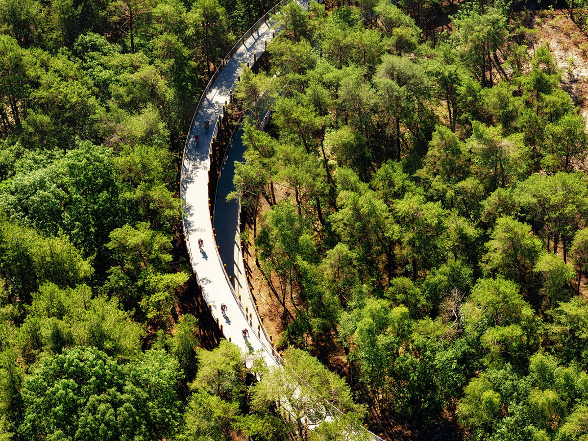 Burolandschap built circular cycle path among trees in Belgium