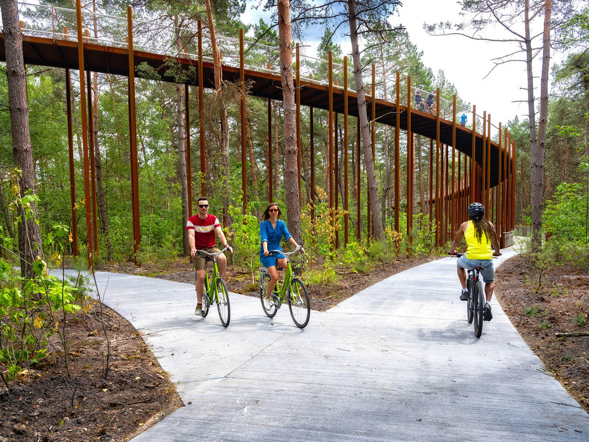 Burolandschap built circular cycle path among trees in Belgium