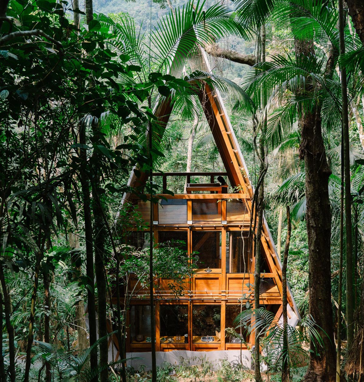 Macaco House is lifted on pillars to have zero interference in vegetation of Brazilian forest