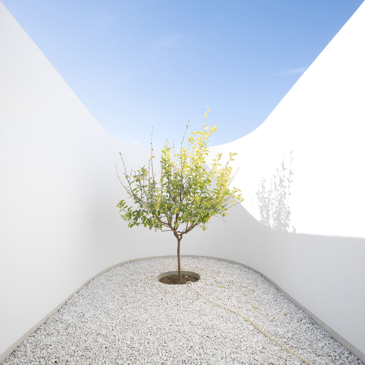 LASSA architects forms rounded walls for house to provide meditative courtyards in Greek olive grove