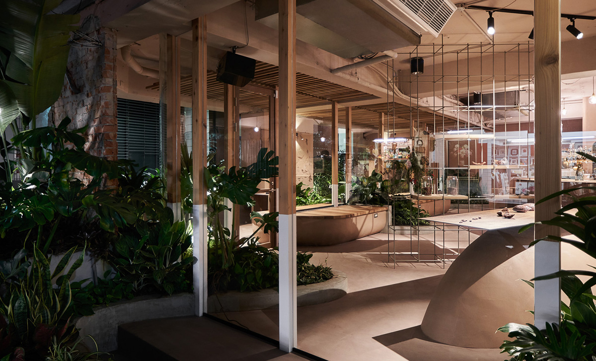 Soar Design Studio adds greenery and smooth surfaces to chocolate store offering garden-like space