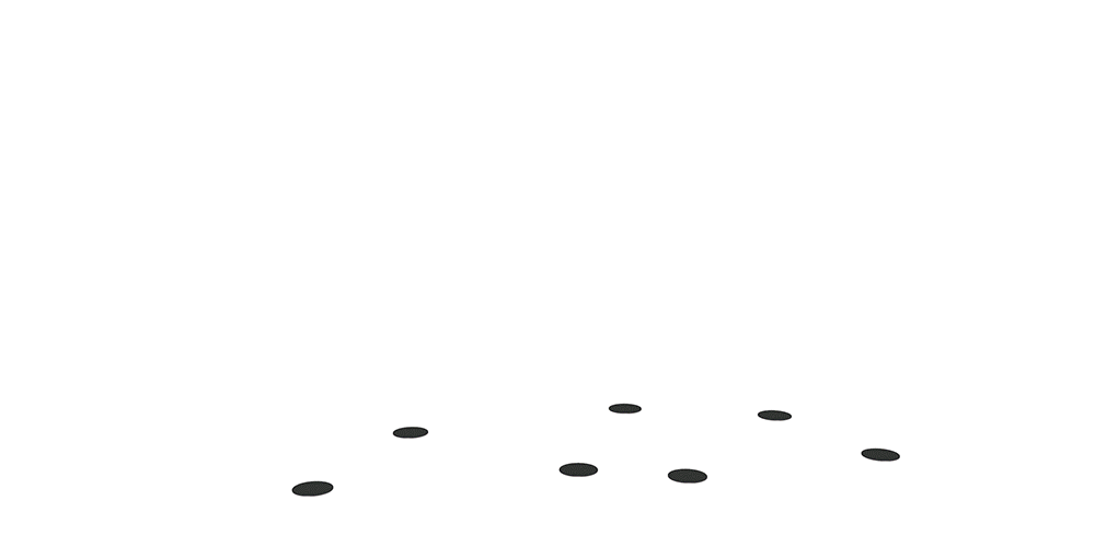 THEVERYMANY creates a tangled installation on a pier of Florida