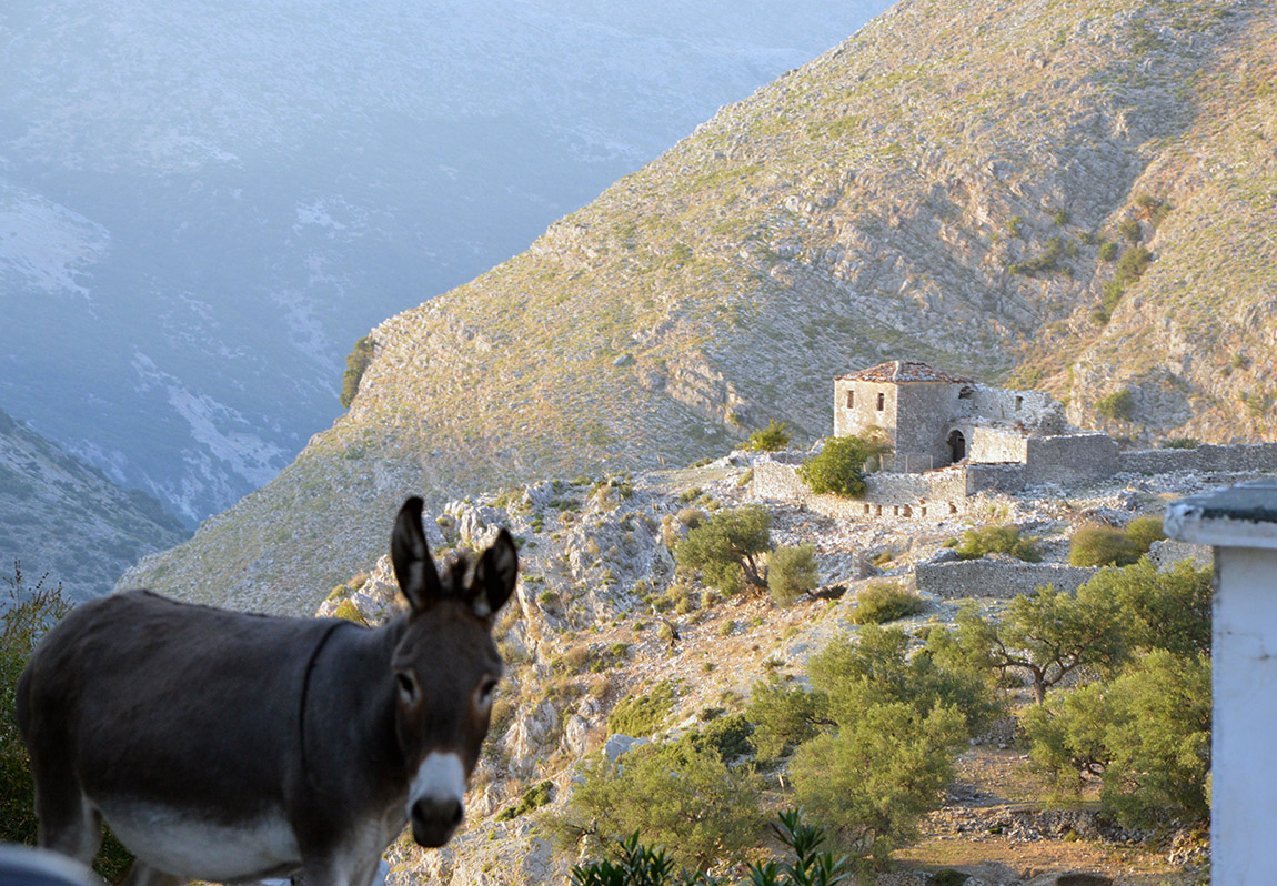 Revitalization of Upper Qeparo - Architecture Students Contemplate the Future of the Village