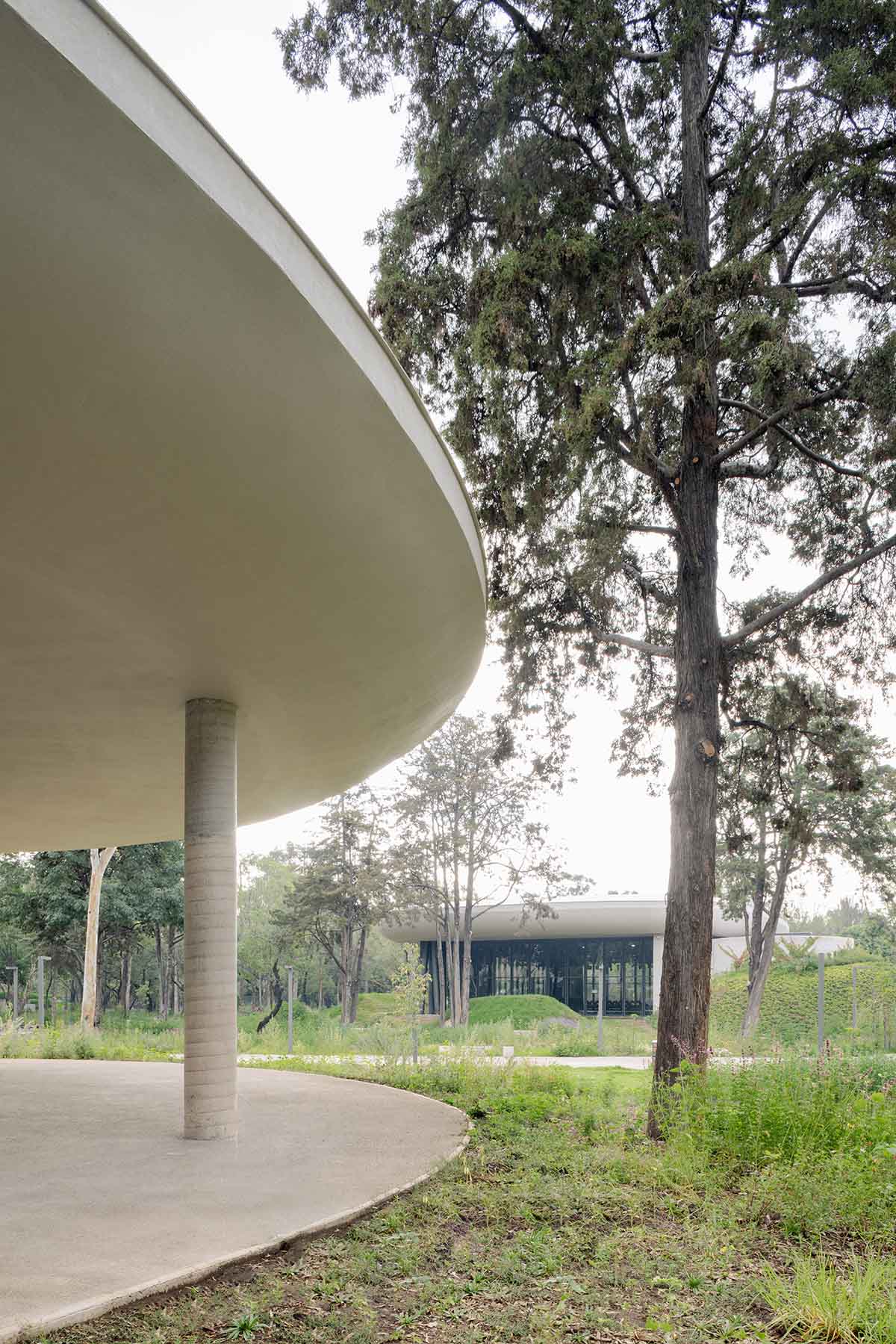 Architecture and landscape are intertwined at Scenic Garden by Michan Architecture and Parabase