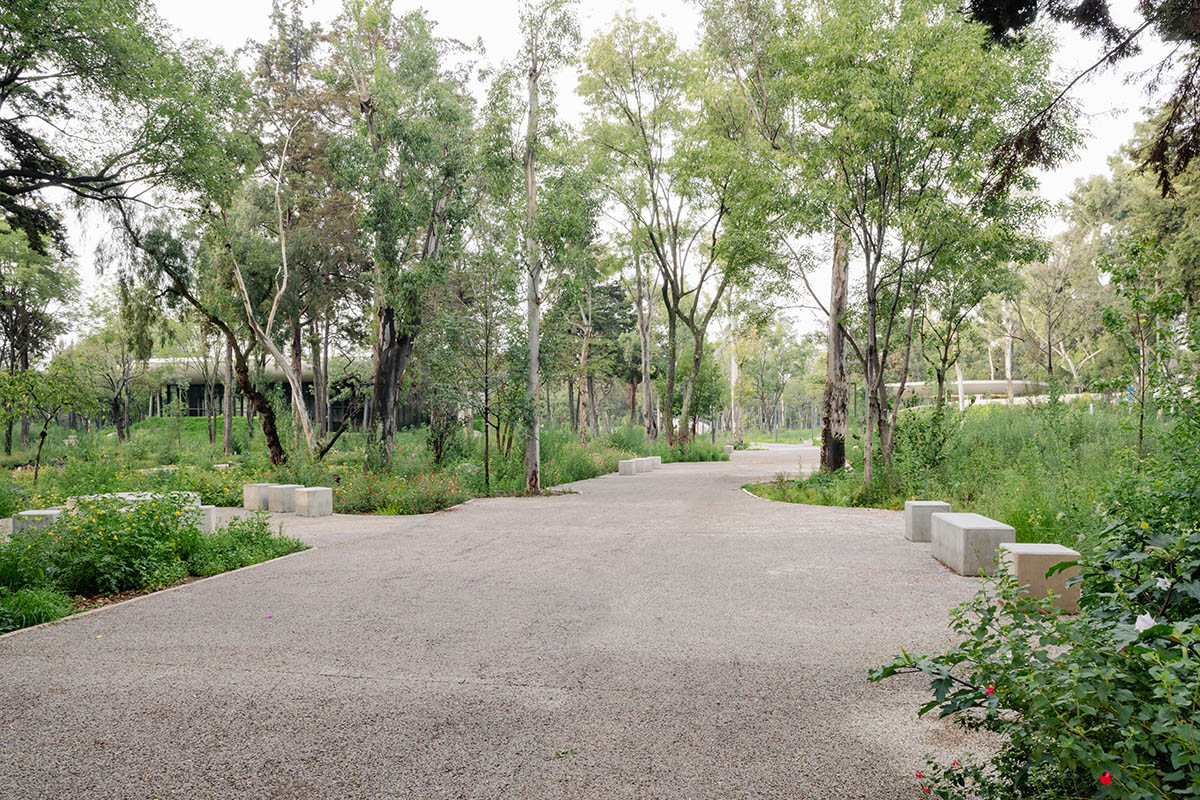 Architecture and landscape are intertwined at Scenic Garden by Michan Architecture and Parabase