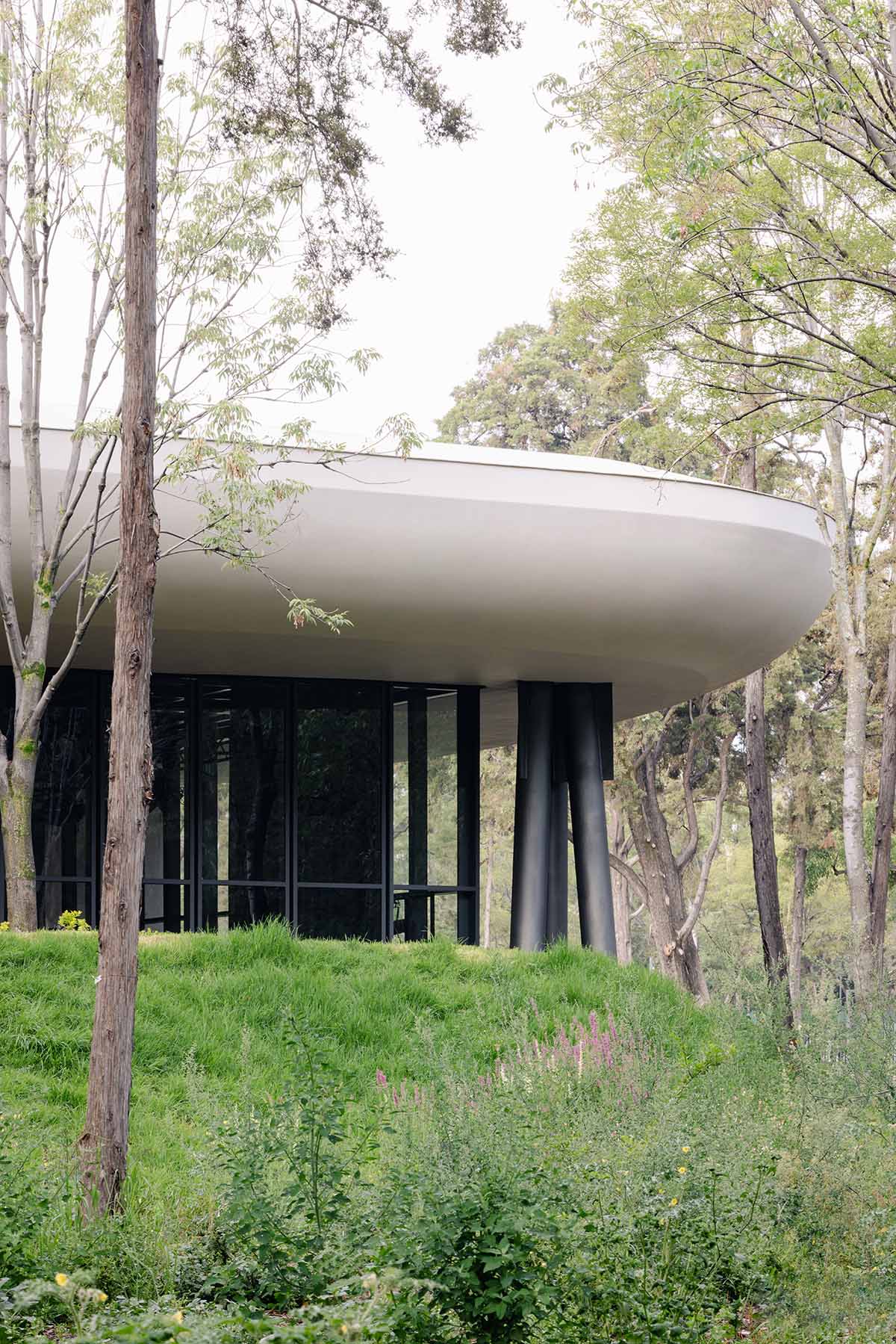 Architecture and landscape are intertwined at Scenic Garden by Michan Architecture and Parabase