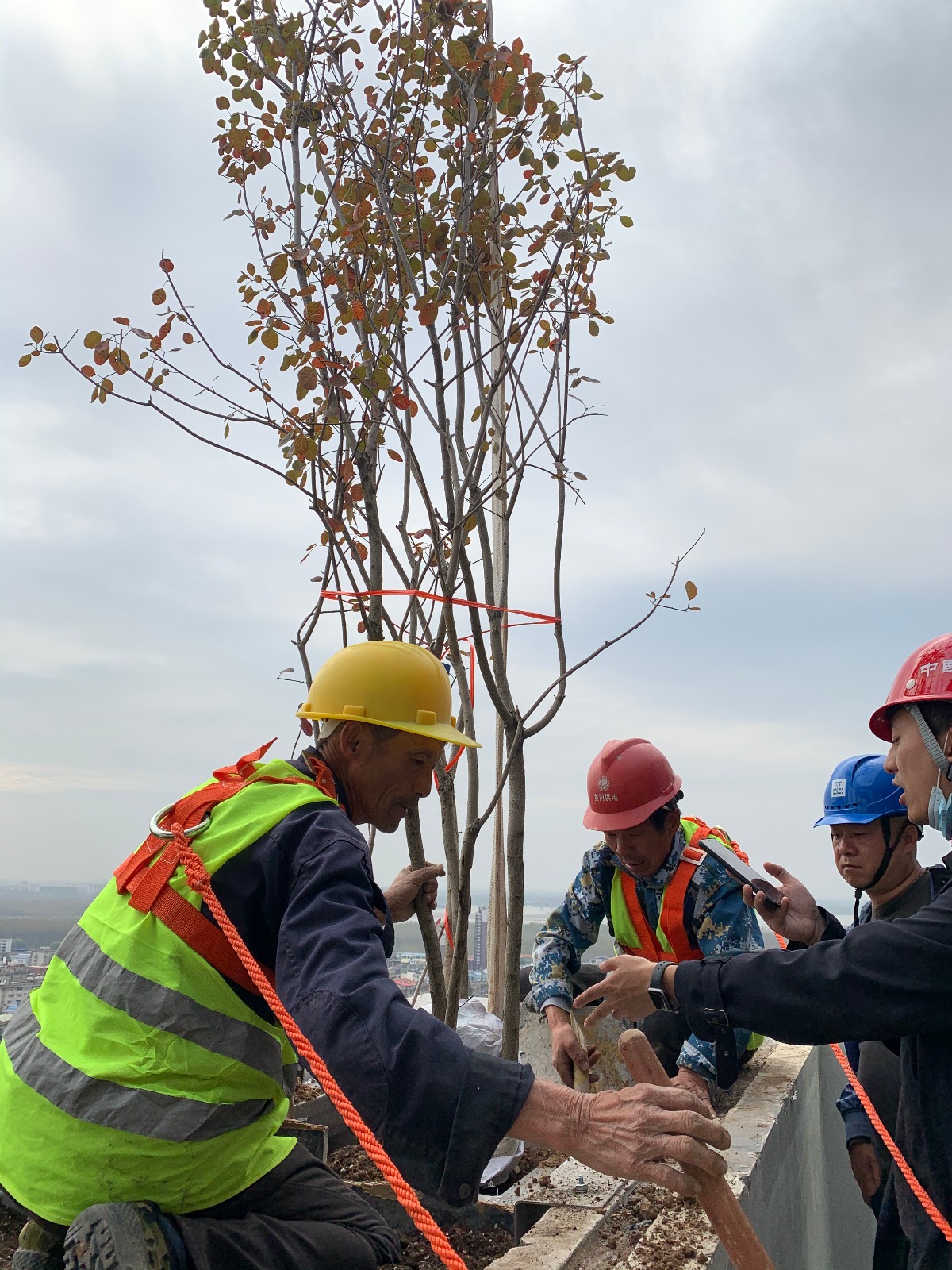 Stefano Boeri's The Vertical Forests are growing in China as trees are starting inhabiting in towers