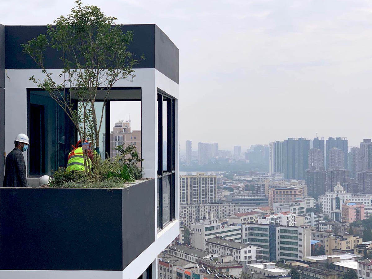 Stefano Boeri's The Vertical Forests are growing in China as trees are starting inhabiting in towers