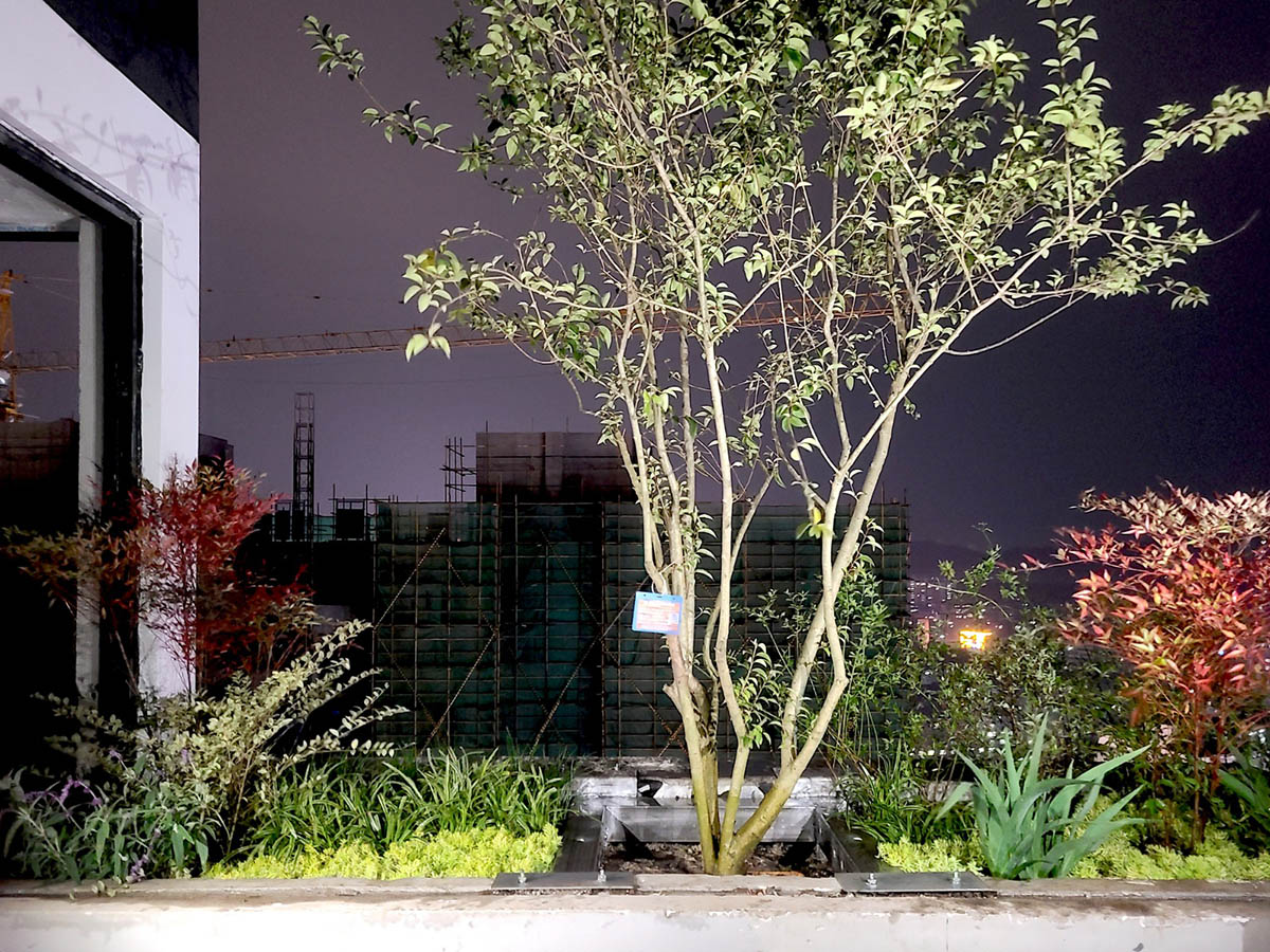 Stefano Boeri's The Vertical Forests are growing in China as trees are starting inhabiting in towers